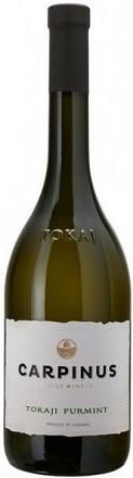 Carpinus Tokaj Furmint