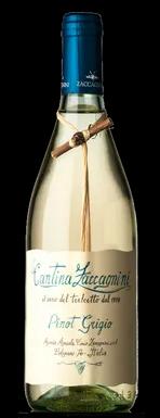 Cantina Zaccagnini Pinot Grigio (Tralcetto)