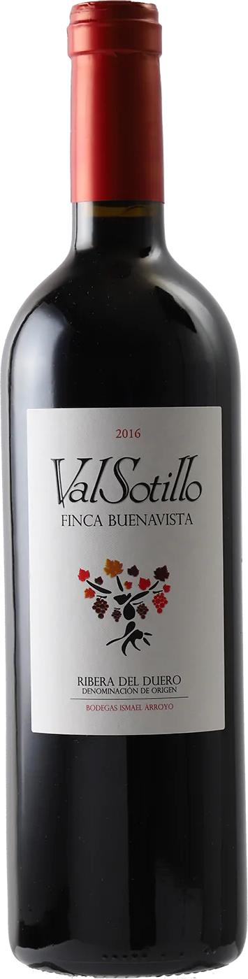 Bodegas Ismael Arroyo Valsotillo Finca Buenavista