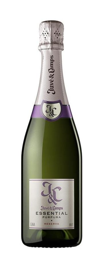 Juvé & Camps Cava Reserva Brut Cinta Purpura