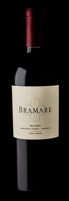 Viña Cobos Bramare Touza Vineyard Malbec