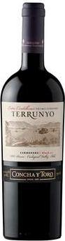 Terrunyo Carménère (Peumo Vineyard Block 27)