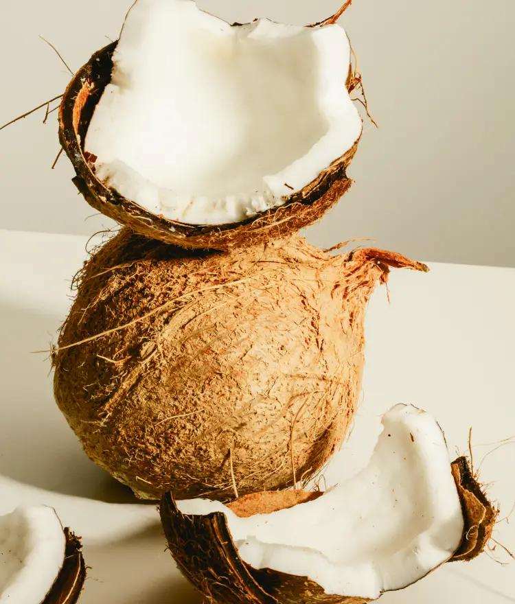 Coconut