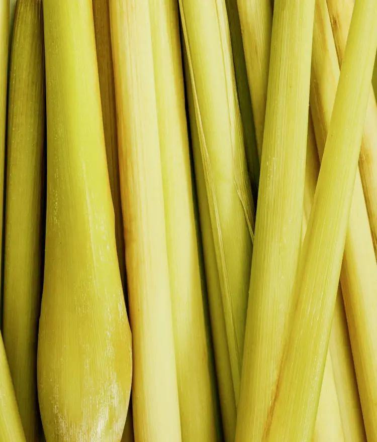 Lemongrass