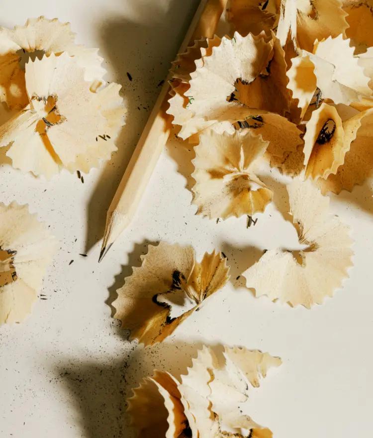 Pencil Shavings