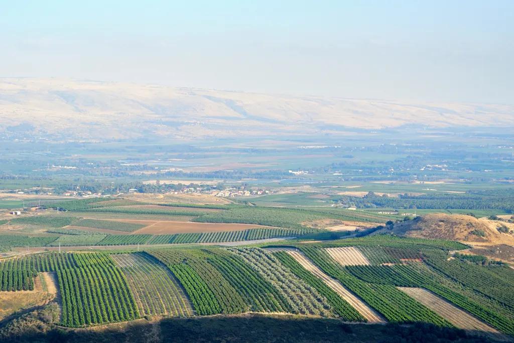 Golan Heights