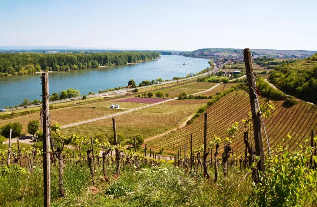 Rheinhessen