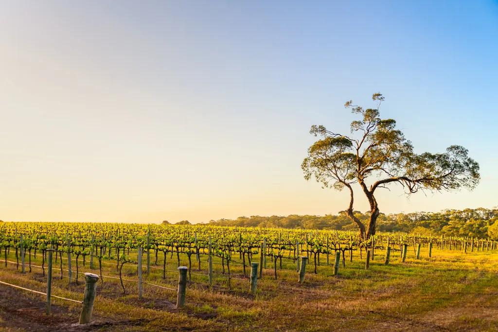 South Eastern Australia