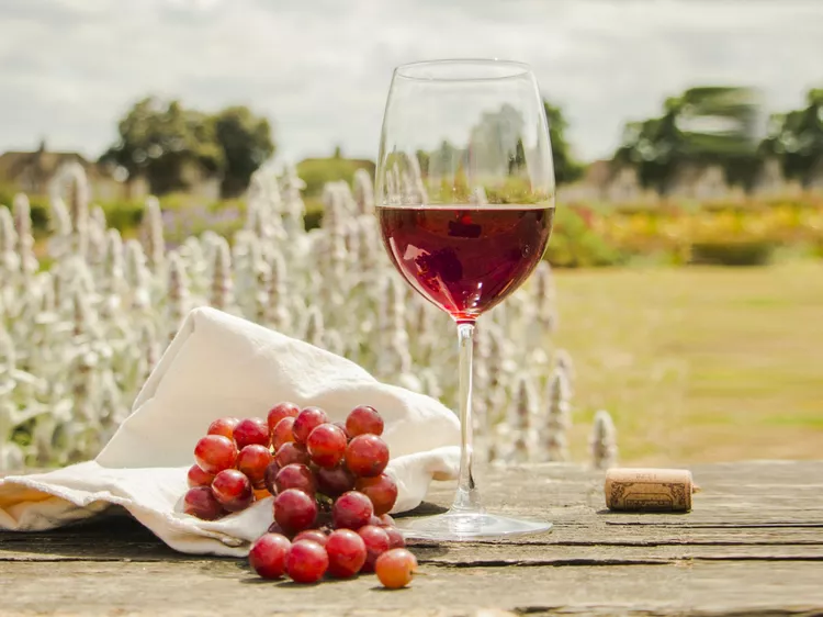 Best Pinot Noir Under $20 — VinoVoss Wine Guide
