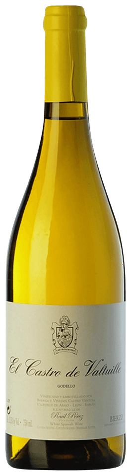 Raúl Pérez Castro Ventosa El Castro de Valtuille Godello