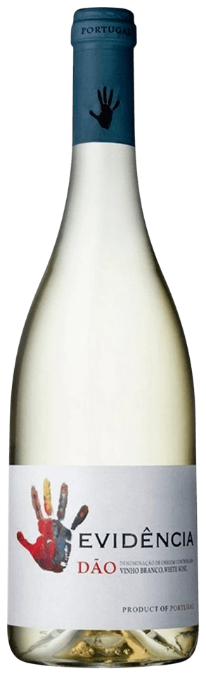 Evidência Branco