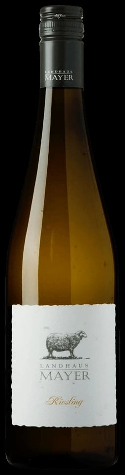 Riesling 2024