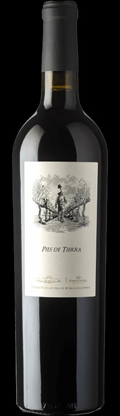 Pies de Tierra 2020