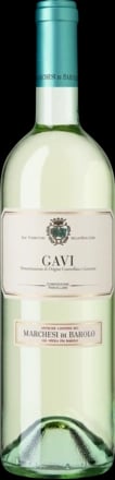 Gavi 2024