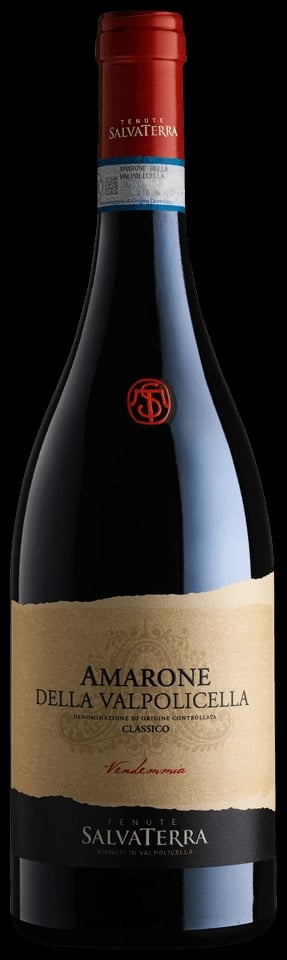 SalvaTerra Amarone della Valpolicella Classico