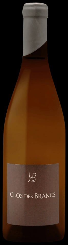 Hauts Baigneux Clos des Brancs