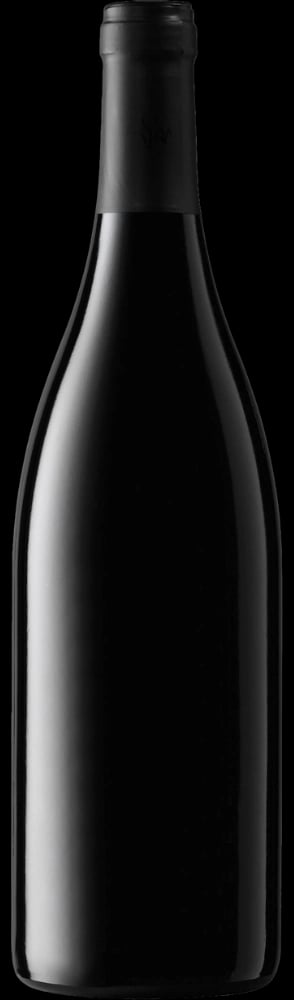 Mencia 2023