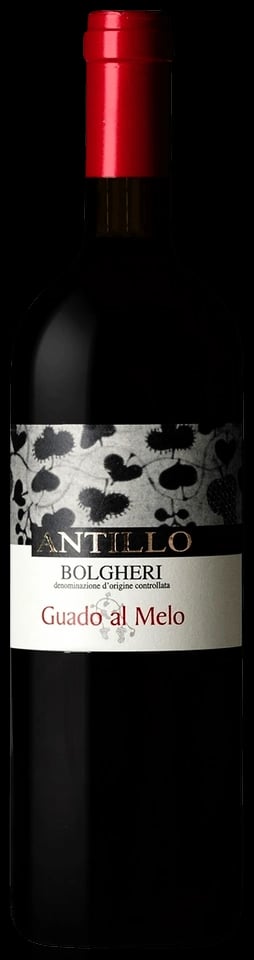 Guado al Melo Antillo Bolgheri