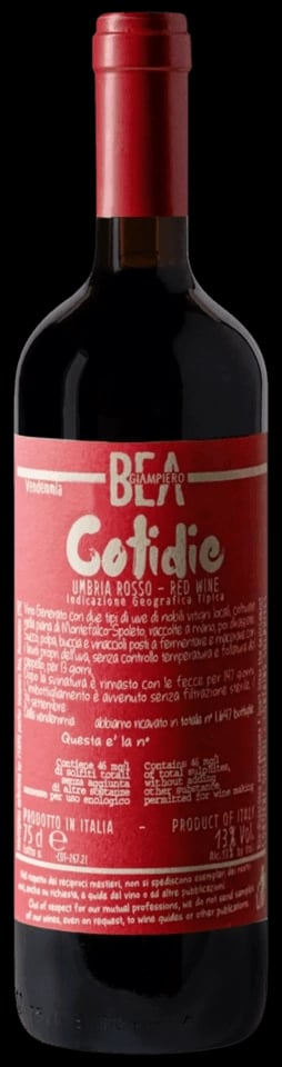 Cotidie Rosso 2024