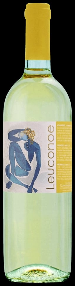 Leuconoe 2025