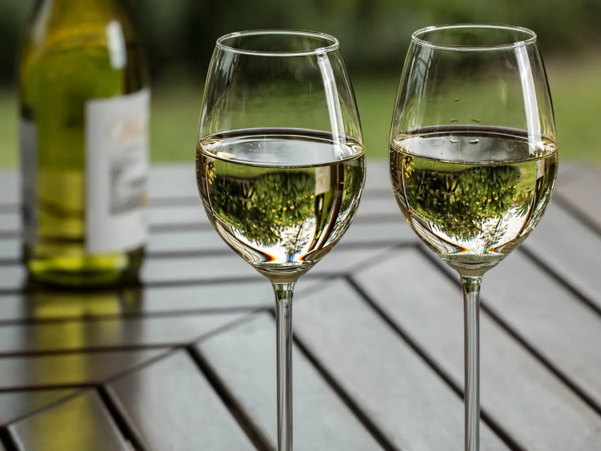 Best Chardonnay Under $20 — VinoVoss Wine Guide