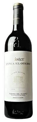 Áster Finca El Otero