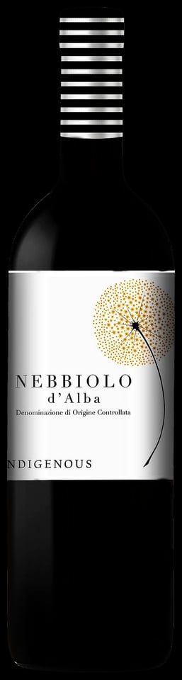 Nebbiolo d'Alba 2022