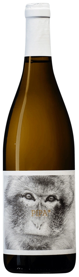 La Vinyeta Pipa
