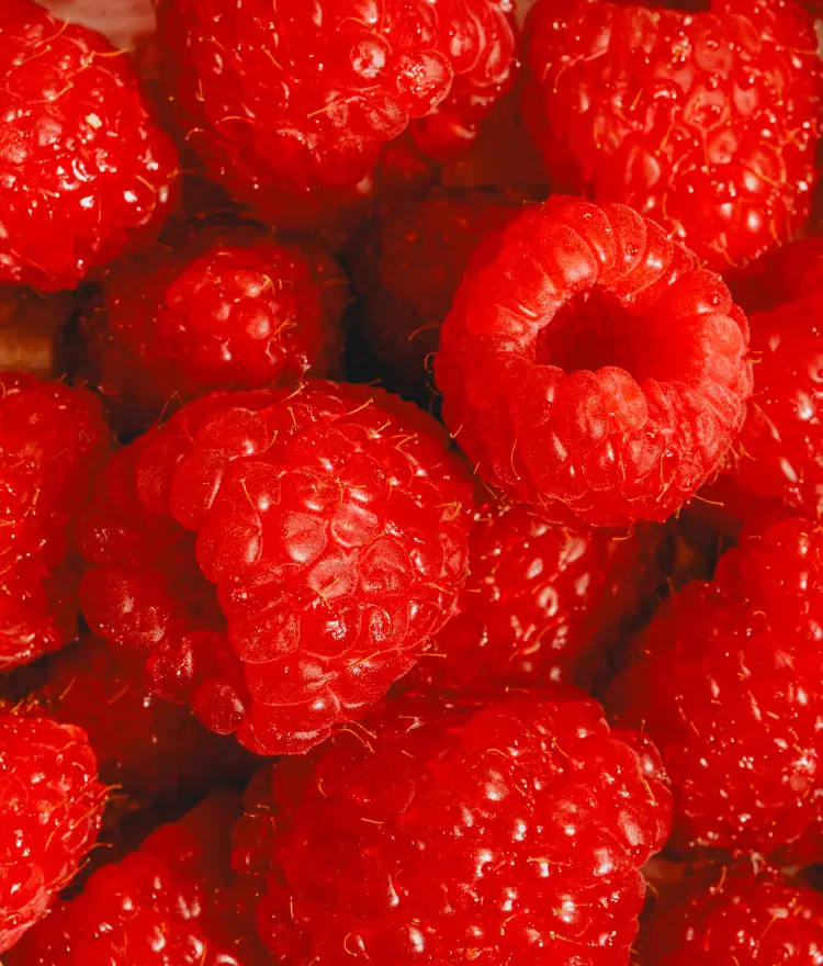 Red Fruit