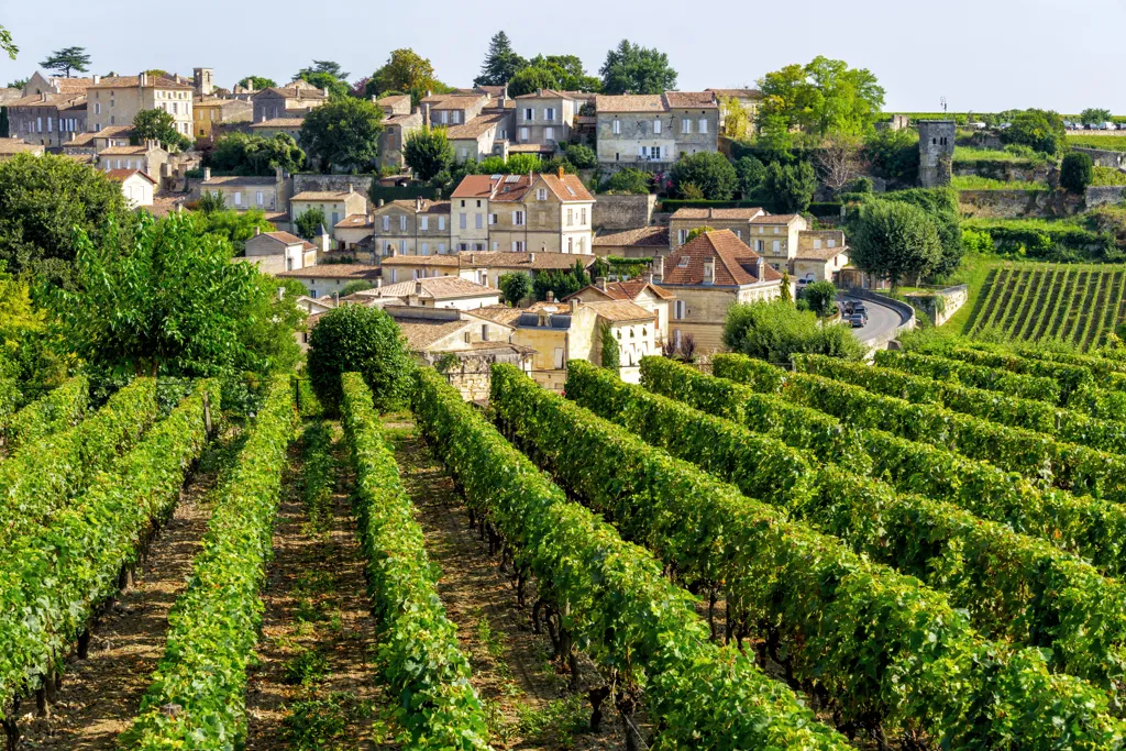 Bordeaux vineyards, France