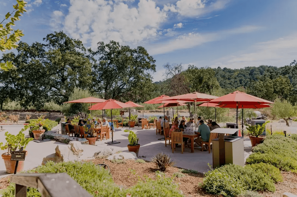 3 California Wine Destinations Beyond Napa and Sonoma to Visit Now