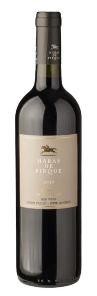 Haras de Pirque Character Red Blend