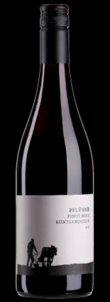 Weingut Pflüger Pinot Noir Buntsandstein