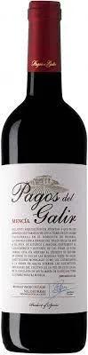 Bodegas Virgen de Galir Pagos del Galir Mencia