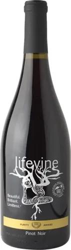 Lifevine Pinot Noir