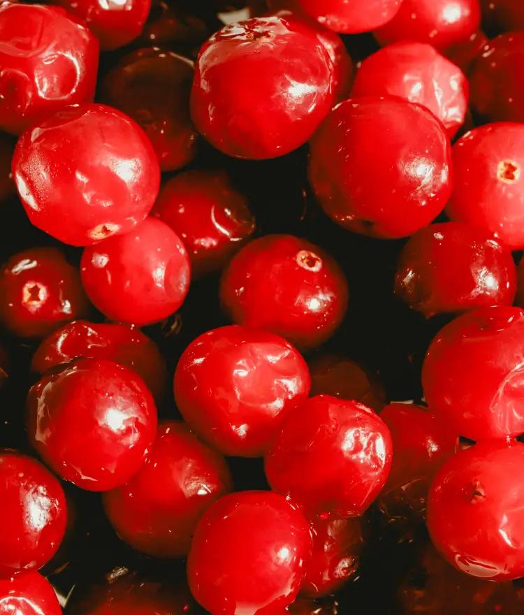 Cranberry