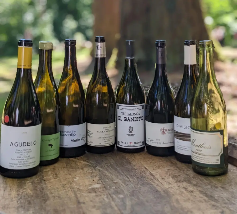 Chenin Blanc wines of different styles (Photo: Sylvia Ba)