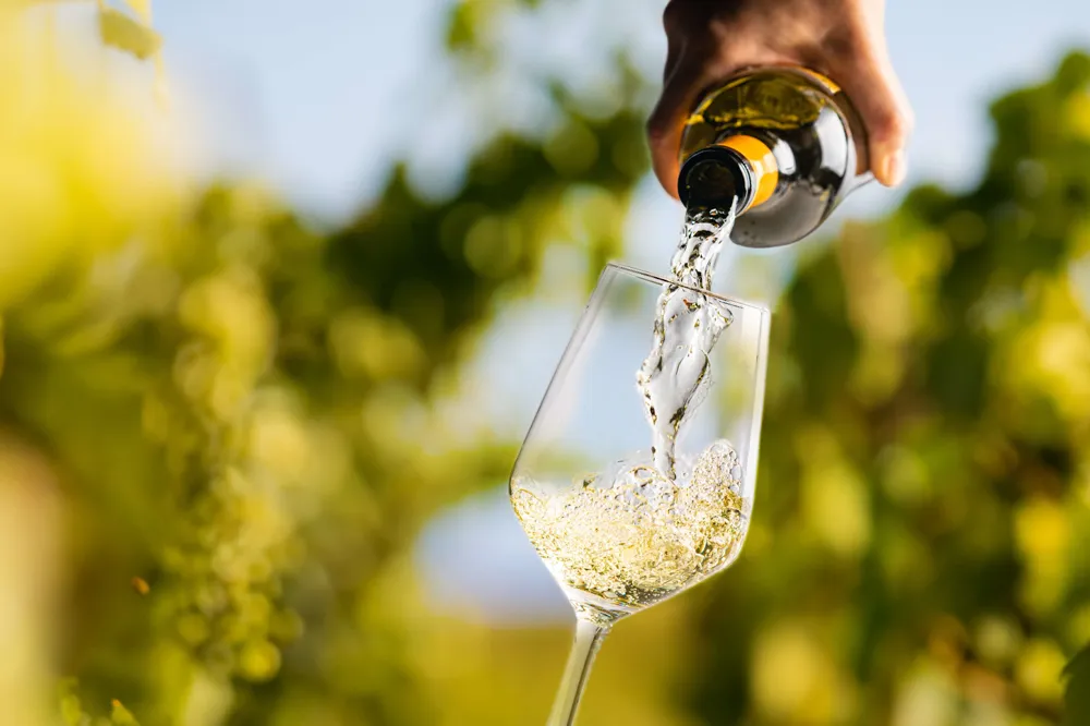 Organic, biodynamic, and natural wines are currently trending (Photo: stock.adobe.com/petrrgoskov)