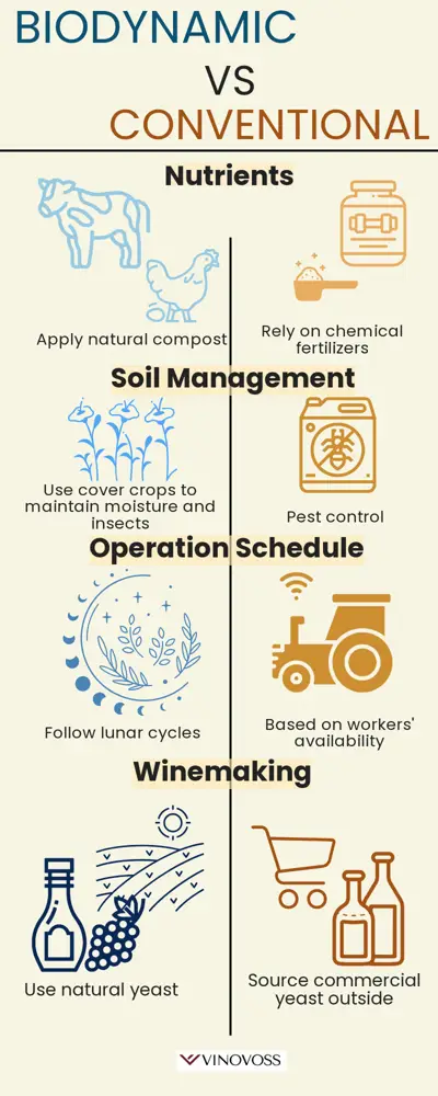 Biodynamic farming transcends conventional and organic methods by balancing the energy of vines, soil, people, and the cosmos. (Illustration created by Krystal Wen)