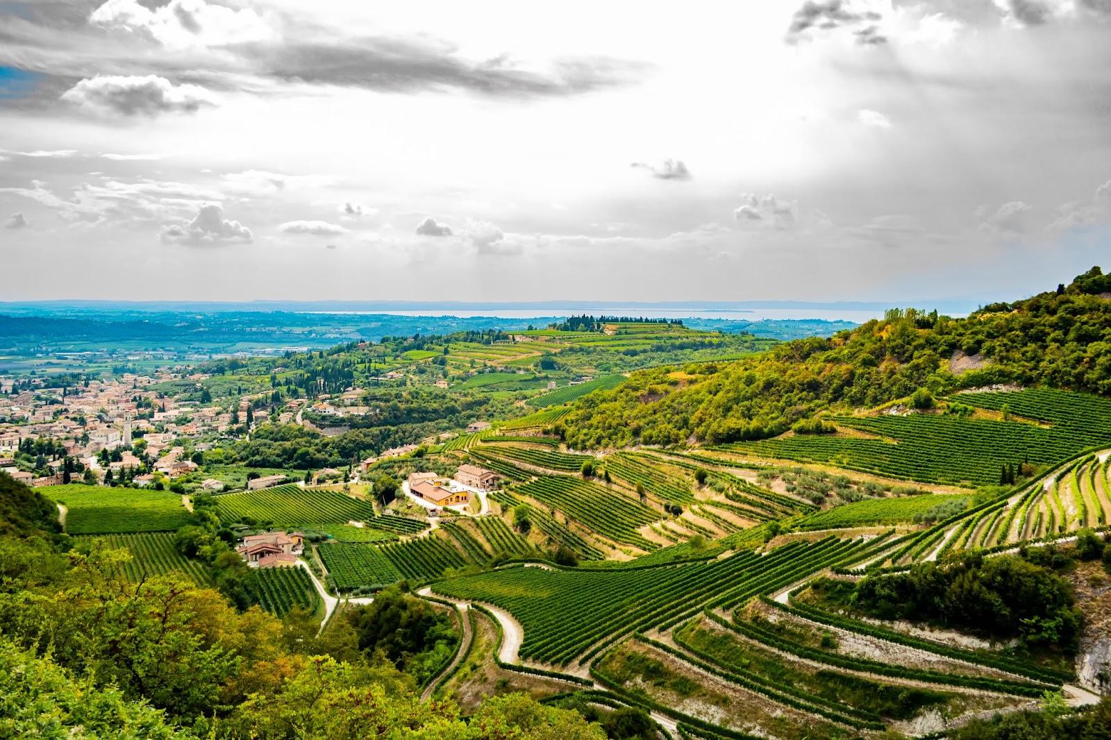 Valpolicella — The Northern King of Wine