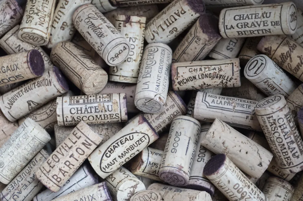 Left Bank Bordeaux produces some of the world’s best Cabernet Sauvignon based wines (Photo: Jean-Luc Benazet, Unsplash.com)