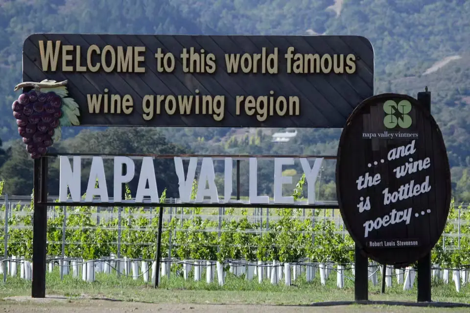 Napa Valley is a must-visit destination for wine lovers (Photo:Eric Risberg | Credits: AP)
