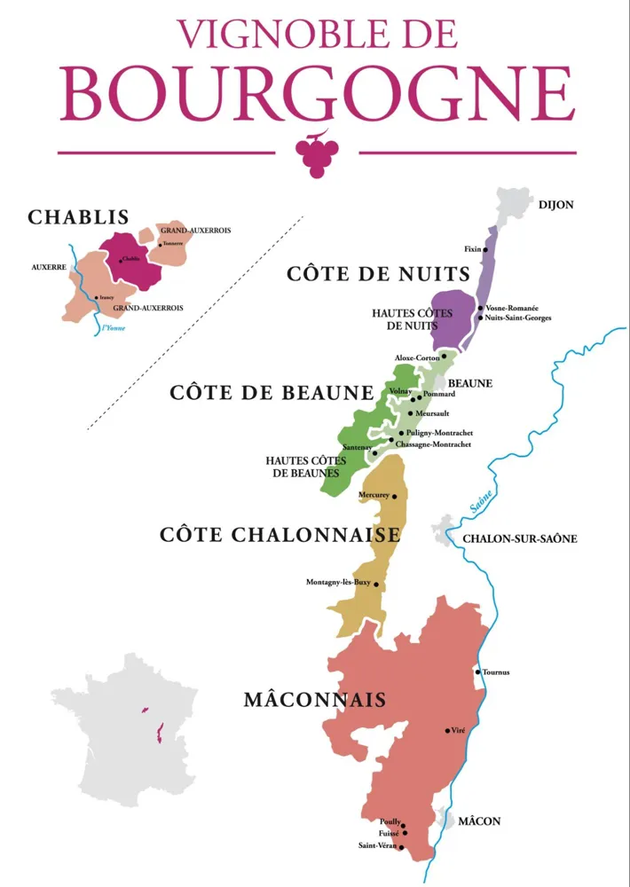 Burgundy offers complex terroirs and requires a deep understanding of the region. (Photo: Lozz/<a href="https://stock.adobe.com/">stock.adobe.com</a>)