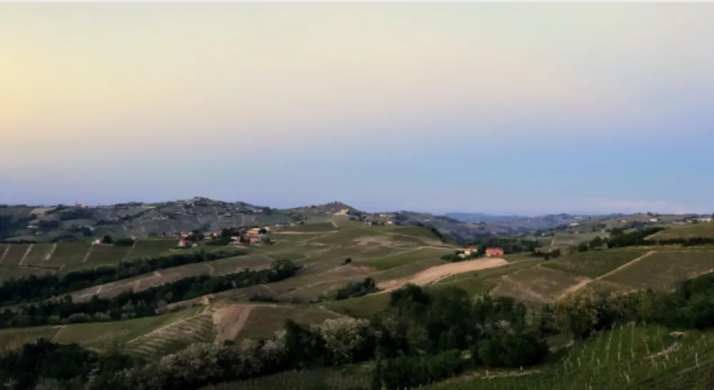 The vineyards of Langhe, Piedmont (Photo: Franz Republic, Unsplash.com)