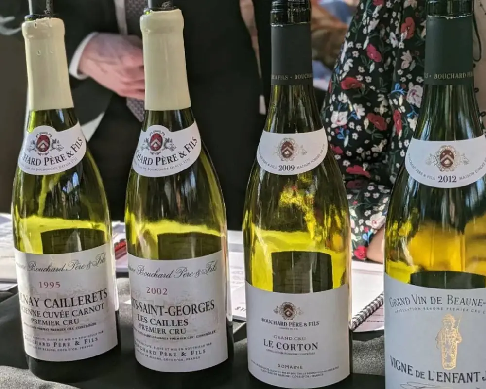 A lineup of Burgundy wines from different classifications (Photo: Sylvia Ba)