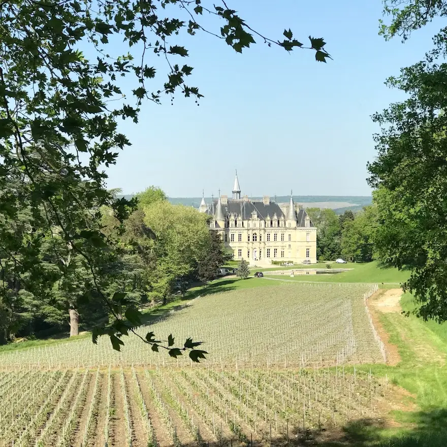 Castle with a vineyard in the Loire Valley, the cradle of Cabernet Franc (Photo by Women Travel Abroad on Unsplash)