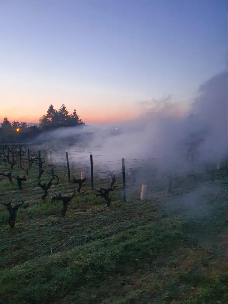 Vignerons in Montlouis were fighting against the spring frost in 2021 by burning woods (Photo: Anna Phillipova, credit: Domaine Thet)