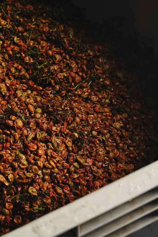 The skin contact process of orange winemaking(Source: Thomas Wavid Johns, Unsplash)