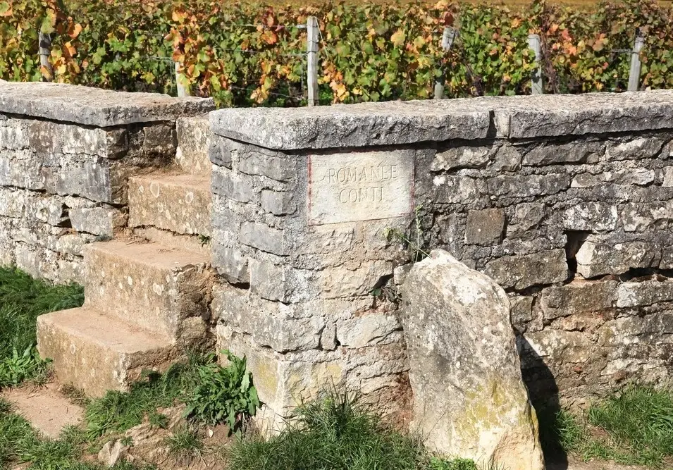 Romanee Conti vineyard in Burgundy (Photo: Ricochet64/ adobe.stock.com)