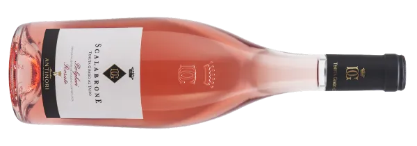 Go to <a href="https://www.vinovoss.com/">VinoVoss</a>, and get Cabernet Sauvignon rosés for you to enjoy with the last summer days!